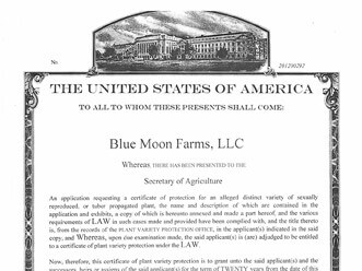 CCS 779 Plant Varietal Protection Certificate